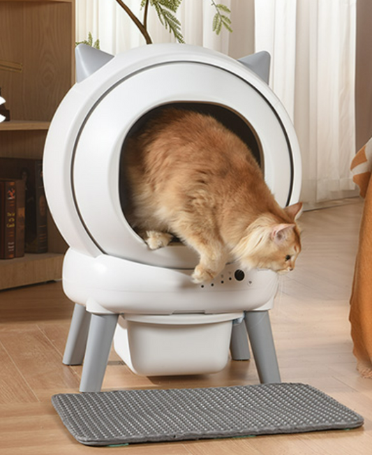 EZ Self-Cleaning Cat Litter